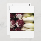 ベルギーエンディゴ ポストカード (正面/裏面)