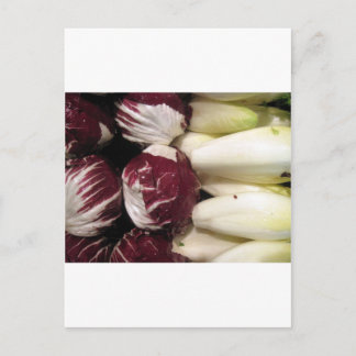 ベルギーエンディゴ ポストカード