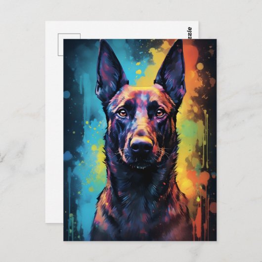 ベルギーカラフルマリノワ ポストカード (正面/裏面)