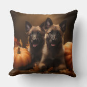 ベルギーシェパードパピーオータムデライトカボチャ クッション (正面)