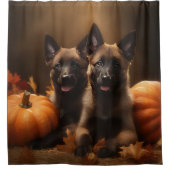 ベルギーシェパードパピーオータムデライトカボチャ シャワーカーテン (正面)