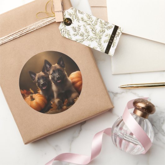 ベルギーシェパードパピーオータムデライトカボチャ ラウンドシール (ギフト)