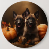 ベルギーシェパードパピーオータムデライトカボチャ 缶バッジ (正面)