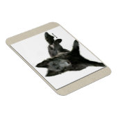 ベルギーシェプドッグアート マグネット (右側)