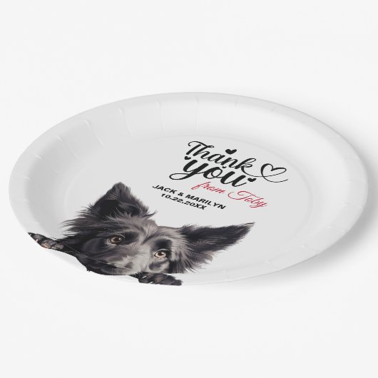 ベルギーシェプドッグ ペーパープレート (アングル)