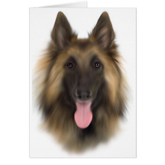 ベルギーシェペルドテルブエレン (正面)