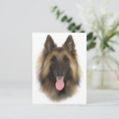 ベルギーシェペルドテルブエレン ポストカード (スタンド正面)