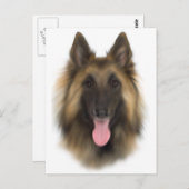 ベルギーシェペルドテルブエレン ポストカード (正面/裏面)