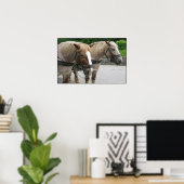 ベルギーチーム ポスター (ホームオフィス)