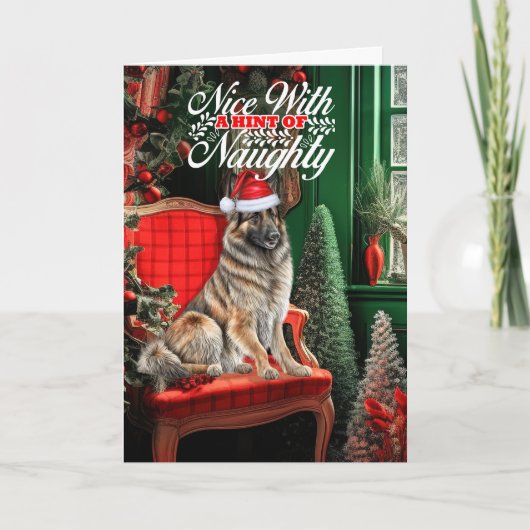 ベルギーテルブレンいけなクリスマスドッグ シーズンカード (正面)