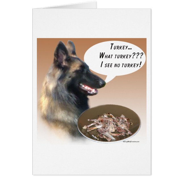 ベルギーテルブレントルコ (正面)