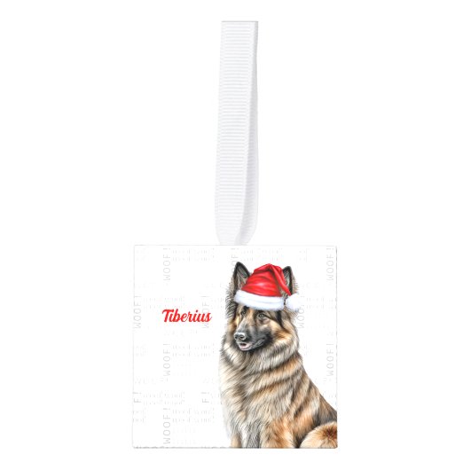 ベルギーテルブレン名2つの写真クリスマスホリデー キューブオーナメント (正面)