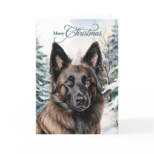 ベルギーテルブレン森林メリークリスマス