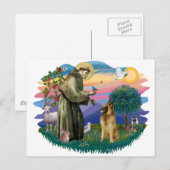 ベルギーテルブレン ポストカード (正面/裏面)