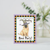 ベルギーテルヴューレンウィッチ招待状 (スタンド正面)