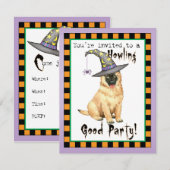 ベルギーテルヴューレンウィッチ招待状 (正面/裏面)