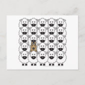 ベルギーテルヴレンの羊 ポストカード (正面)