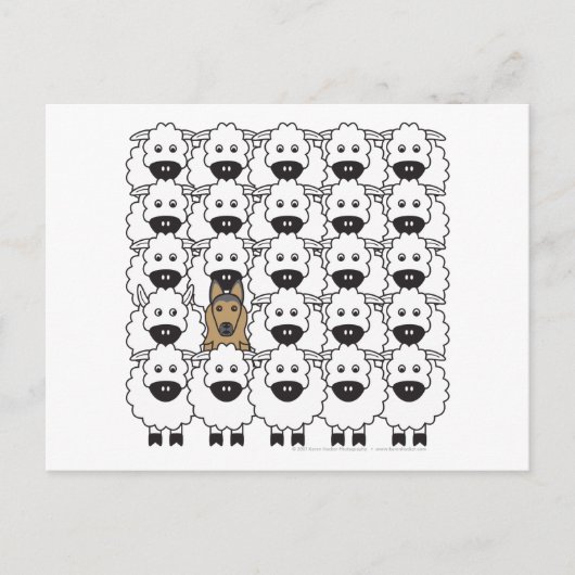 ベルギーテルヴレンの羊 ポストカード (正面)