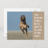 ベルギーバイ誕生ドッグハガキ ポストカード (正面/裏面)