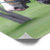 ベルギーホースチーム ポスター (角)