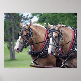 ベルギーホースチーム ポスター