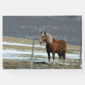 ベルギーホース荷車を引くインパドックゲストブック ゲストブック (裏面)