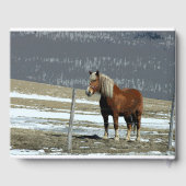 ベルギーホース荷車を引くインパドックゲストブック ゲストブック (裏面)