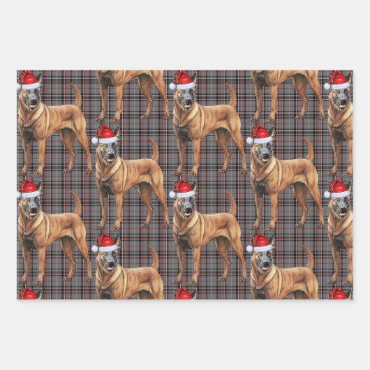 ベルギーマリノイスクリスマスドッグレッドホリデープレイド ラッピングペーパーシート (正面3)