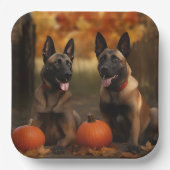 ベルギーマリノイパピーオータムデライトカボチャ ペーパープレート (正面)