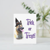 ベルギーマリノワストリック ポストカード (スタンド正面)