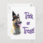 ベルギーマリノワストリック ポストカード (正面/裏面)