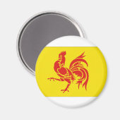 ベルギーワロン州旗 マグネット (正面/裏面)