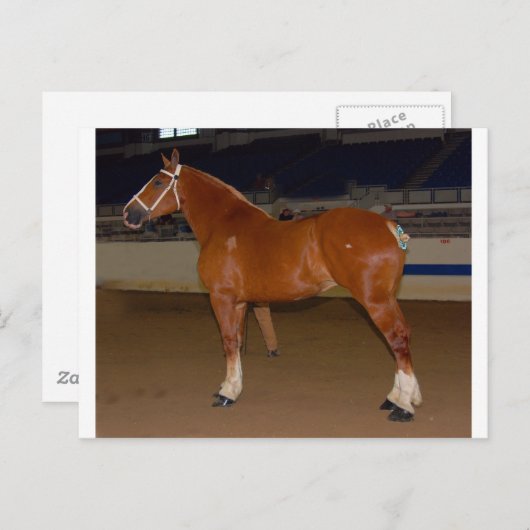 ベルギー人がショーリングをしている ポストカード (正面/裏面)