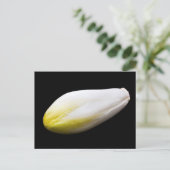 ベルギー人のエンダイブ ポストカード (スタンド正面)