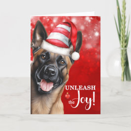 ベルギー人のマリノワ犬がクリスマスに喜びを解く シーズンカード
