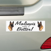ベルギー人のMalinoisのバンパーステッカー バンパーステッカー (車上)