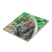 ベルギー人のMalinoisの子犬のタイル タイル (側面)