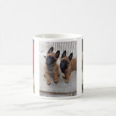 ベルギー人のMalinoisの子犬のマグ コーヒーマグカップ (中央)