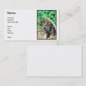 ベルギー人のMalinoisの子犬の名刺 名刺 (正面/裏面)