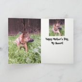 ベルギー人のMalinoisの母の日カード カード (内部)