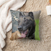 ベルギー人のMalinois微笑の犬 クッション (ブランケット)