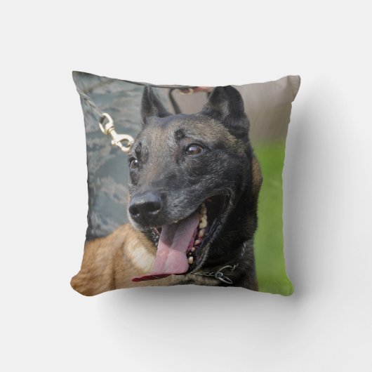 ベルギー人のMalinois微笑の犬 クッション (正面)