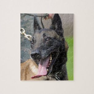 ベルギー人のMalinois微笑の犬 ジグソーパズル