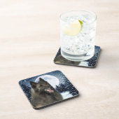 ベルギー人のTervurenのコースター コースター (右側)