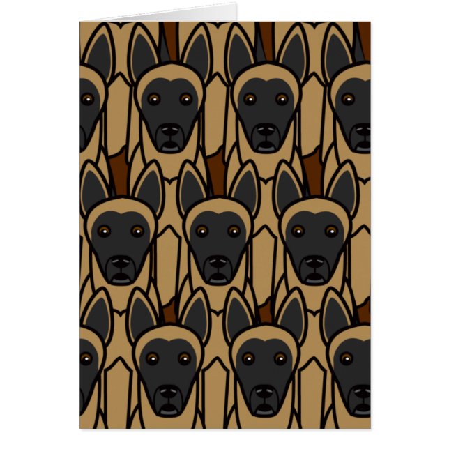 ベルギー人Malinois (正面)