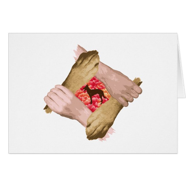 ベルギー人Malinois (正面横)