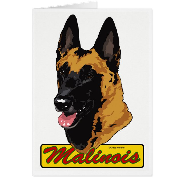 ベルギー人Malinois (正面)