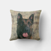 ベルギー人Malinois -ベルギーの羊飼い- Maligator クッション (裏面)