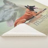 ベルギー人Malinois -ベルギーの羊飼い- Maligator シェルパブランケット (3/4)