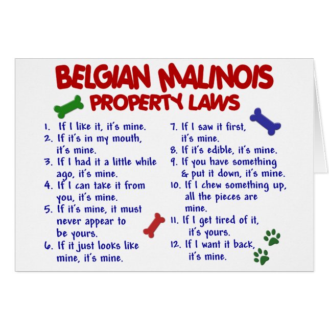 ベルギー人MALINOIS PL2 (正面横)